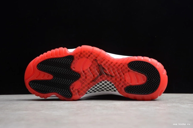 Rep Jordan Air Bred(2019) 378037-061 11 0721